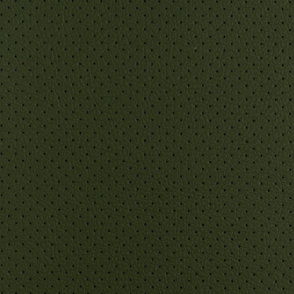    napa_perfurada_para_automovel_voyage_verde_tropa_Texland_pele_sintetica